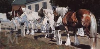 Horse Blank Greetings Card 'Appleby Roadside' by Malcolm Coward CS7