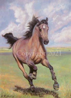 Horse Blank Greetings Card 'Free As the Wind' by Bill Easton B129