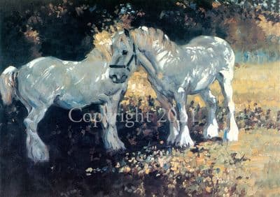 Horse Blank Greetings Card 'In The Shade' by Malcolm Coward C11