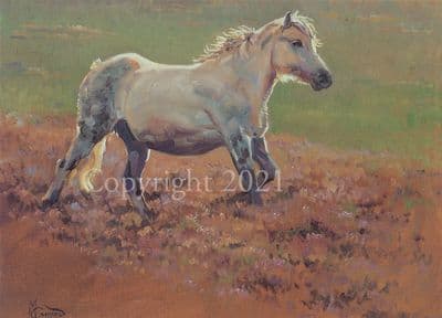 Horse Blank Greetings Card 'Romping Along' by Malcolm Coward C190