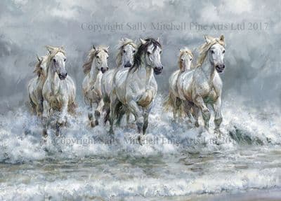 Horse Blank Greetings Card 'Seventh Wave' by Rosemary Sarah Welch C527