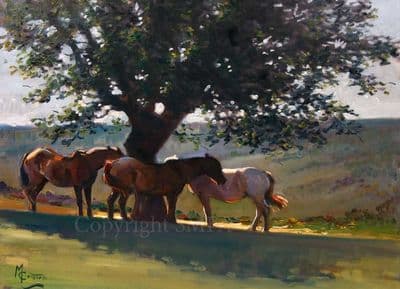 Horse Blank Greetings Card 'Shady Days' by Malcolm Coward C273