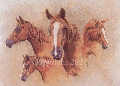 Horse Blank Greetings Card 'The Favourite' by Margaret Hawkes B150