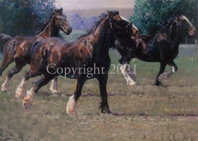 Horse Blank Greetings Card 'The Heavy Brigade' by Malcolm Coward C279