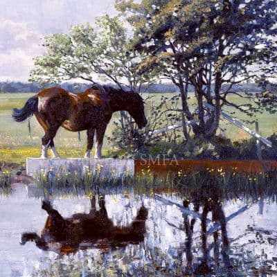 Horse Blank Greetings Card 'The Old Barge Horse' by Malcolm Coward CS1