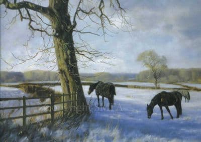 Horse Blank Greetings Card 'Winter Wonderland' by John Trickett C97