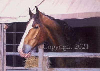 Horse Blank Greetings 'In Lodgings' by Bill Easton C223