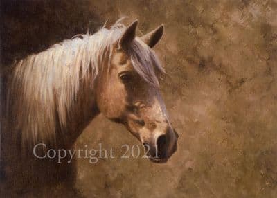 Horse Equestrian Blank Greetings Card 'Palomino' by Frank Wright C226