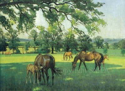 Horse Foal Blank Greetings Card 'When all the World is Young' by Neil Cawthorne  B138