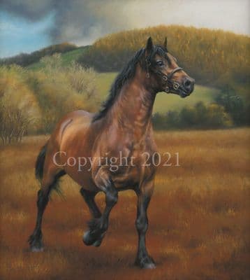 Horse Limited Edition Print 'Autumn Thunder' by Mary Herbert