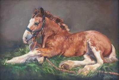 Horse Limited Edition Print 'Clydesdale Foal' by Jane Braithwaite