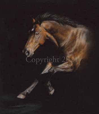 Horse Limited Edition Print 'Fanfare' by Mary Herbert