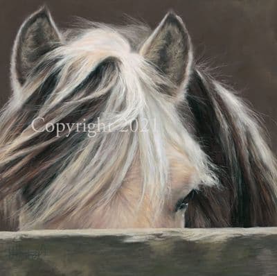 Horse Limited Edition Print 'Neigh-bourhood Watch'  by Mary Herbert