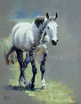 Horse Limited Edition Print 'Onwards' by Malcolm Coward