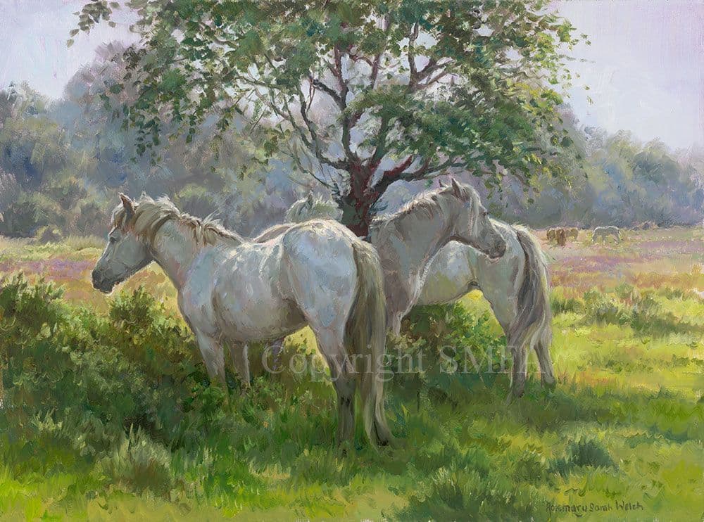 Horse Limited Edition Print Shade by Rosemary Welch