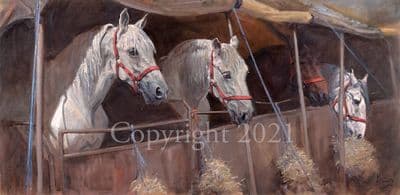 Horse Limited Edition Print 'Showgirls' by Malcolm Coward