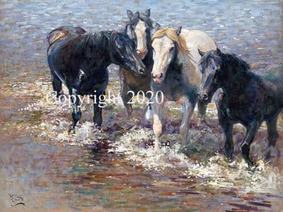 Horse Limited Edition Print 'Splashing Out' by Malcolm Coward