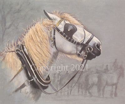 Horse Limited Edition Print 'The Gypsy Cob' by Bill Easton
