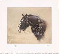 Horse Limited Edition Print 'The Heavy' by Bill Easton
