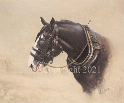Horse Limited Edition Print 'The Heavy' by Bill Easton