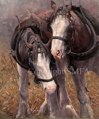 Horse Limited Edition Print 'The Horse Whisperer' by Malcolm Coward