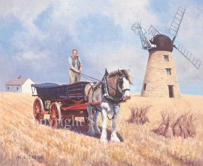 Horse Limited Edition Print 'Tomorrow's Bread' by Bill Easton