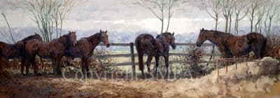 Horse Limited Edition Print 'Waiting for Tea' by Malcolm Coward