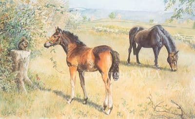 Horse Limited Edition Print 'When All The World is Young' by Jo Campin