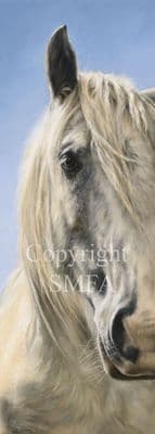 Horse Limited Edition Print 'Why the Long Face' by Mary Herbert