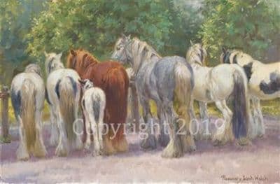 Horse Original Oil Painting  'Appleby' by Rosemary Sarah Welch WELEX-27