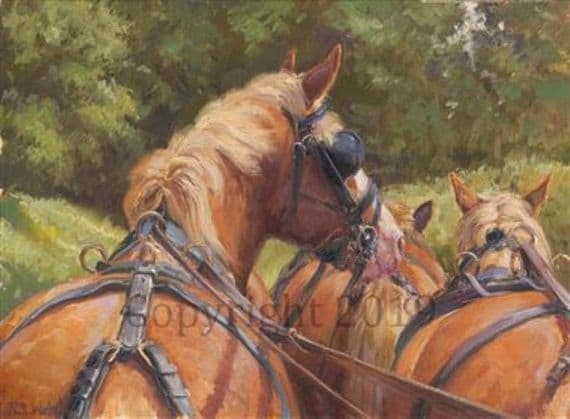 Horse Original Oil Painting  'From the Drivers Seat' by Rosemary Sarah Welch