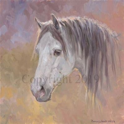 Horse Original Oil Painting 'Grey Head' by Rosemary Sarah Welch
