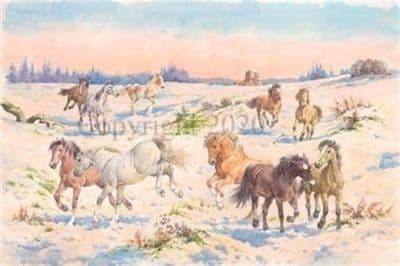 Horse Pack of 10 Christmas Cards 'Happiness' by Rosemary Sarah Welch C621X