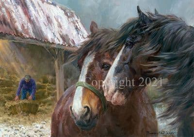 Horse Pack of 10 Christmas Cards 'The Boys' by Rosemary Sarah Welch C636X