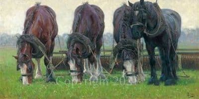 Horse Ploughing Limited Edition Print 'Five Minutes Rest' by Malcolm Coward