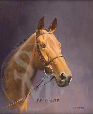 Horse Racing Limited Edition Print 'Best Mate' by Barry Linklater