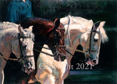 Horse Spanish Horses Blank Greetings Card 'The Three Schoolboys' by Malcolm Coward C280