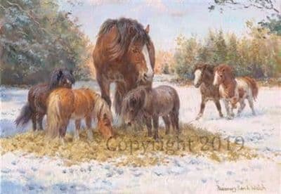 Horses in the Snow Christmas Cards  'A Little Company' by Rosemary Sarah Welch C581X