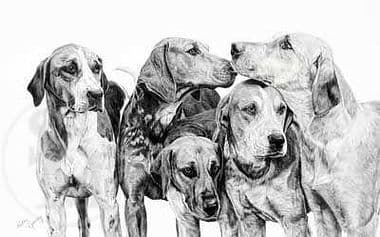 Hound Limited Edition Print 'Blackmore Vale Hounds' by Cathy Spearing