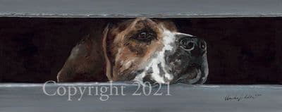 Hound Limited Edition Print 'One for Sorrow ' by Amelia Siddle