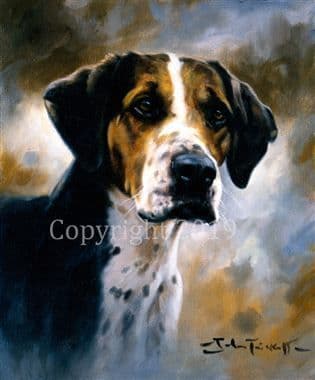Hound Limited Edition Print 'Portrait of a Hound' by John Trickett