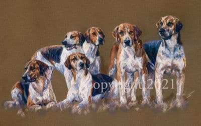 Hound Limited Edition Print 'Six Pack' by Debbie Gillingham