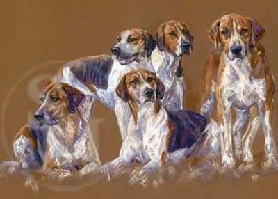 Hounds Blank Greetings Card by Debbie Gillingham C299