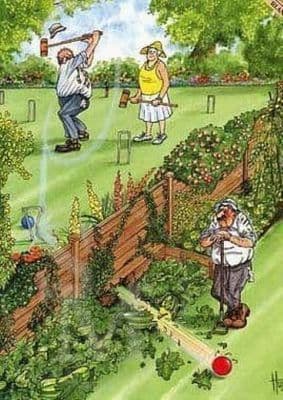 Humorous Blank Greetings Card 'Croquet' by Christopher Hope THB007