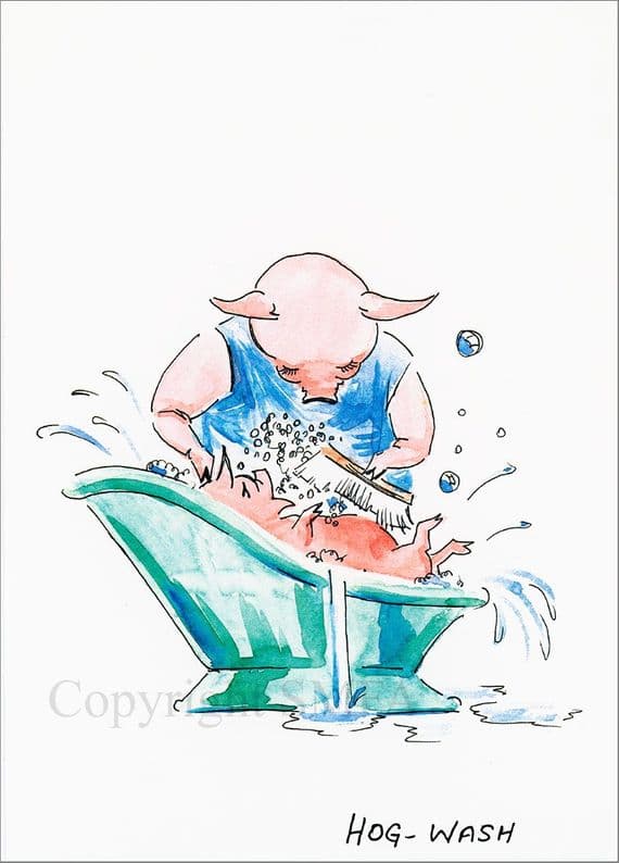 Humorous Pig Card 'Hog Wash' by Malcolm Coward