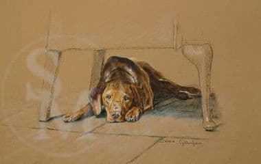 Hungarian Vizla Limited Edition Print 'His Masters Chair' by Debbie Gillingham