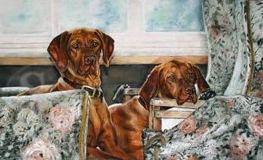 Hungarian Vizsla Limited Edition Print 'House Invaders' by Debbie Gillingham