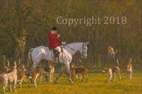 Hunting Original Oil on Canvas 'Daniel Cherriman & Pytchley Hounds'  by Frederick Haycock