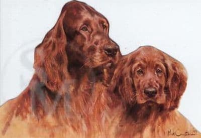 Irish Setter  Blank Cut Out Card 'Irish Setters' by Mick Cawston Blank Cut Out Card AM02