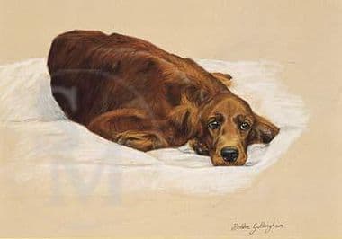 Irish Setter Limited Edition Print 'Sulking' by Debbie Gillingham